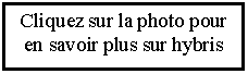 Rserv: THEMIS